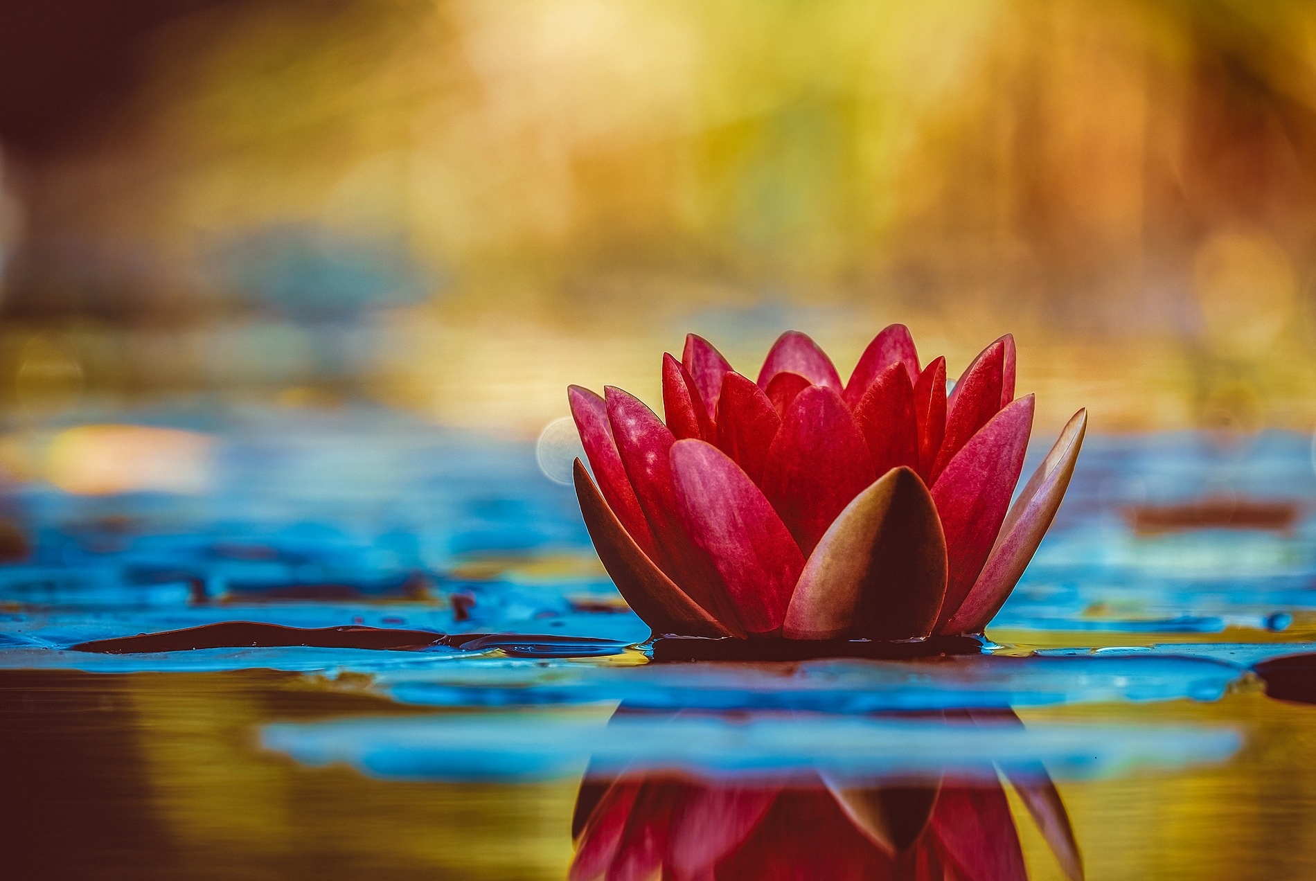 Tao Of Touch
